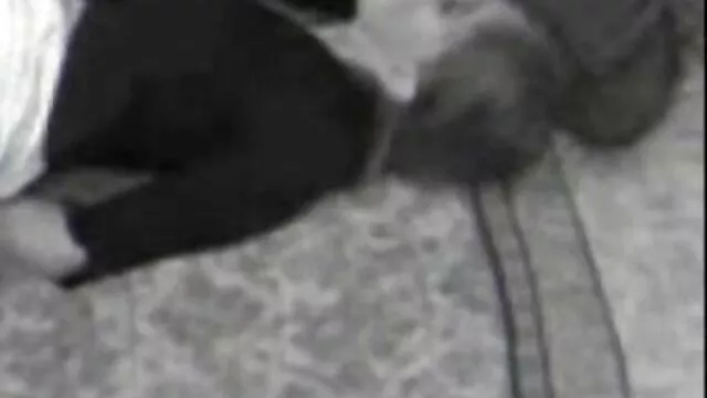 Gratis porno ingen registrering  Jeg er sammen med min dansk lebbe porno kone.