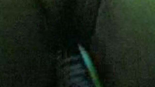 Gratis porno ingen registrering  Se with med en gratis porno dansk blondine i hytten bag hegnet